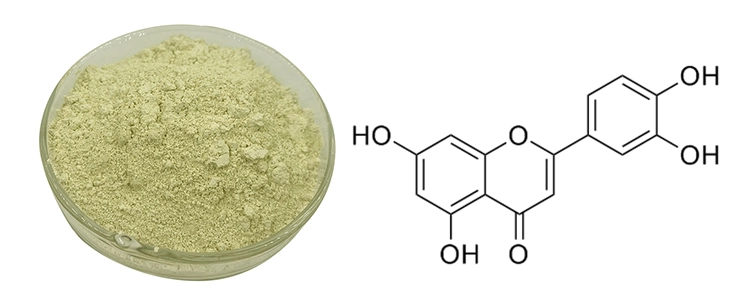  Luteolin Powder 