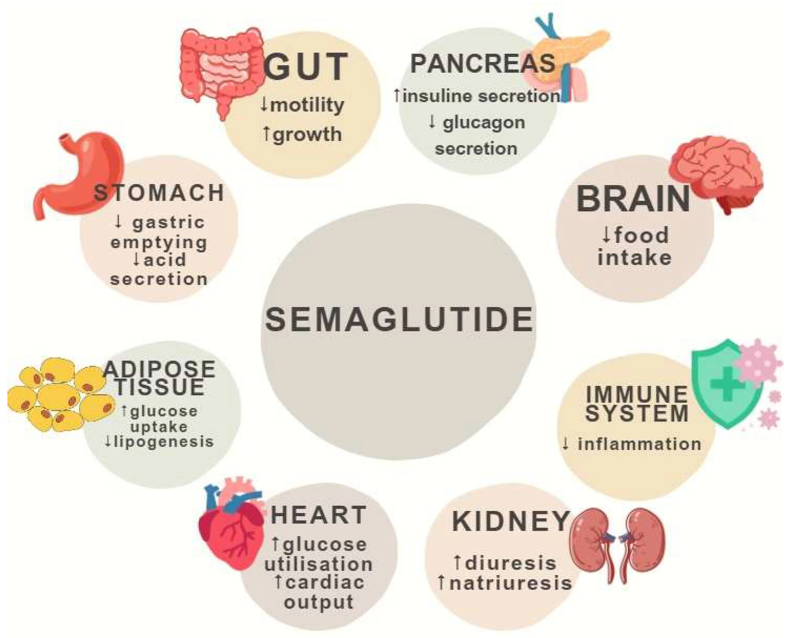 Semaglutide benefits Semaglutide benefits