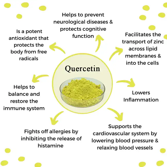 Quercetin benefits Quercetin benefits