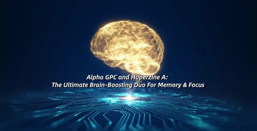 Alpha Gpc For Brain Alpha Gpc For Brain
