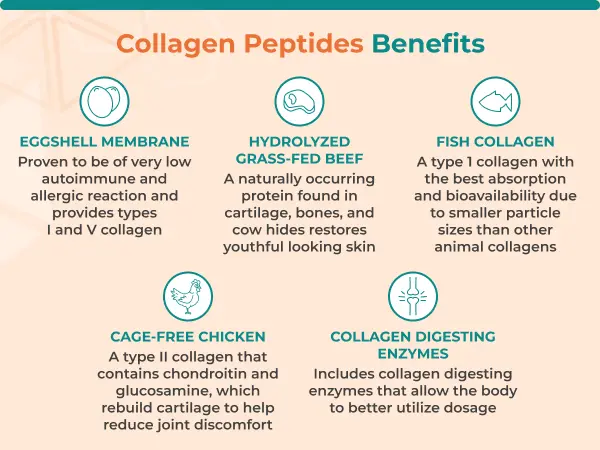 Chicken Type II Collagen Peptide Benefits Chicken Type II Collagen Peptide Benefits