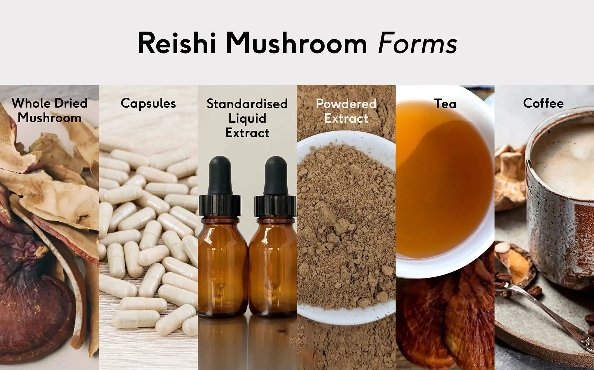 Reishi Mushroom Powder Uses Reishi Mushroom Powder Uses