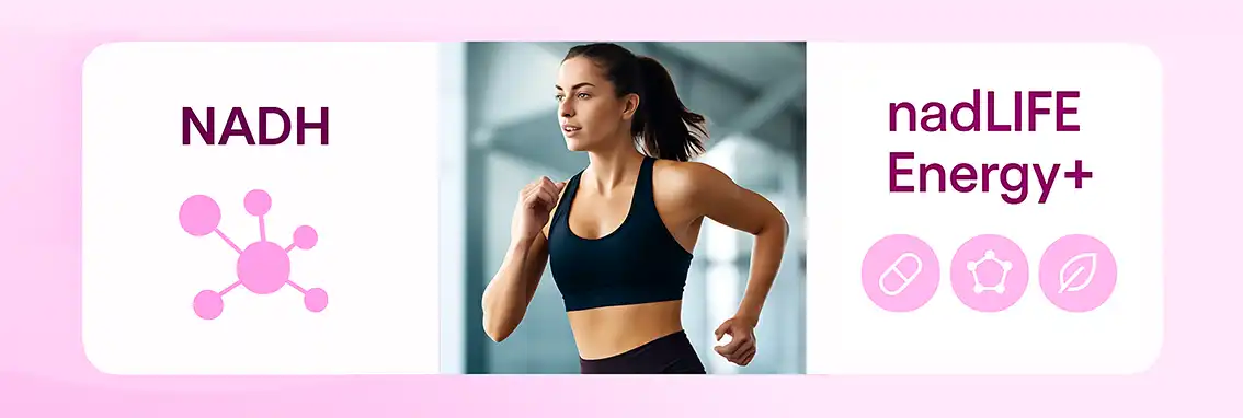 NADH Powder for athletic performance NADH Powder for athletic performance