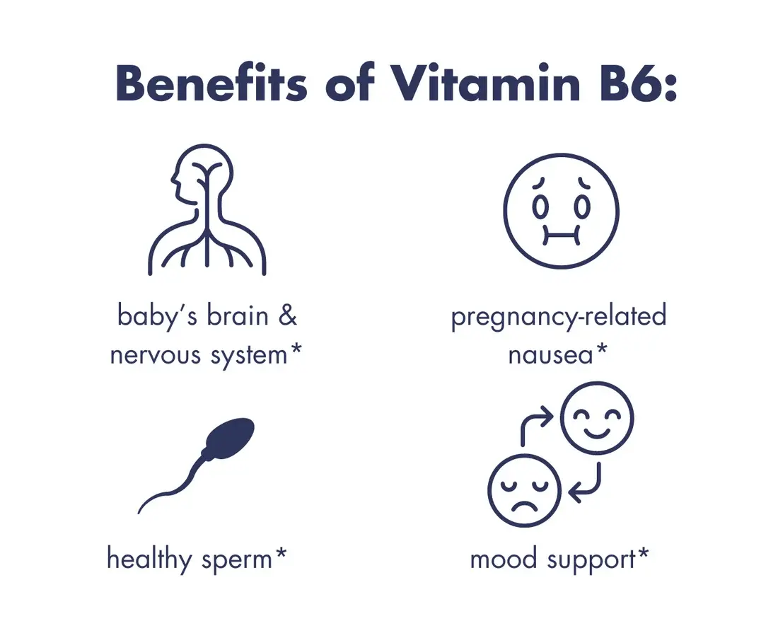 Vitamin B6 Pyridoxine HCl Benefits Vitamin B6 Pyridoxine HCl Benefits