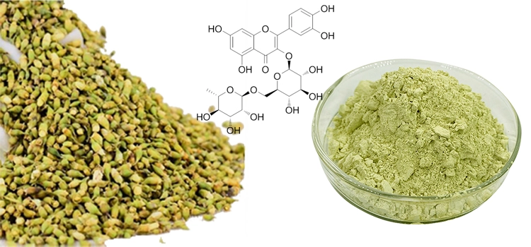 rutin extract rutin extract