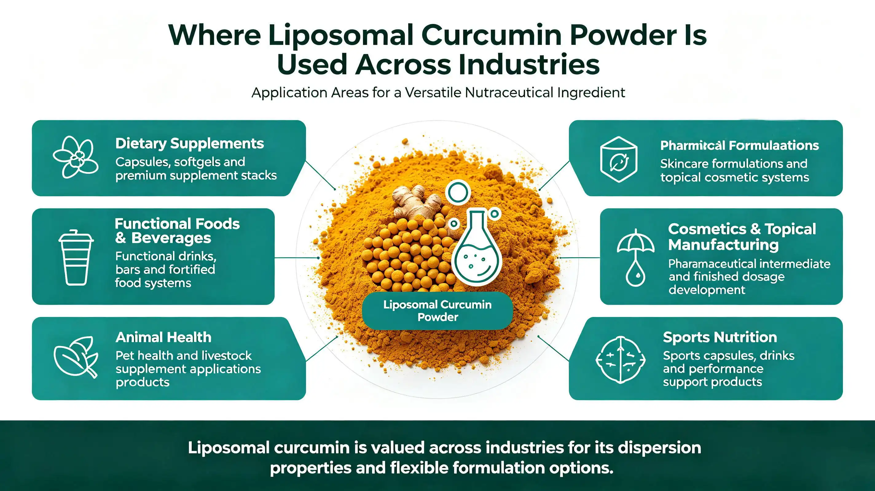 liposomal curcumin applications liposomal curcumin applications