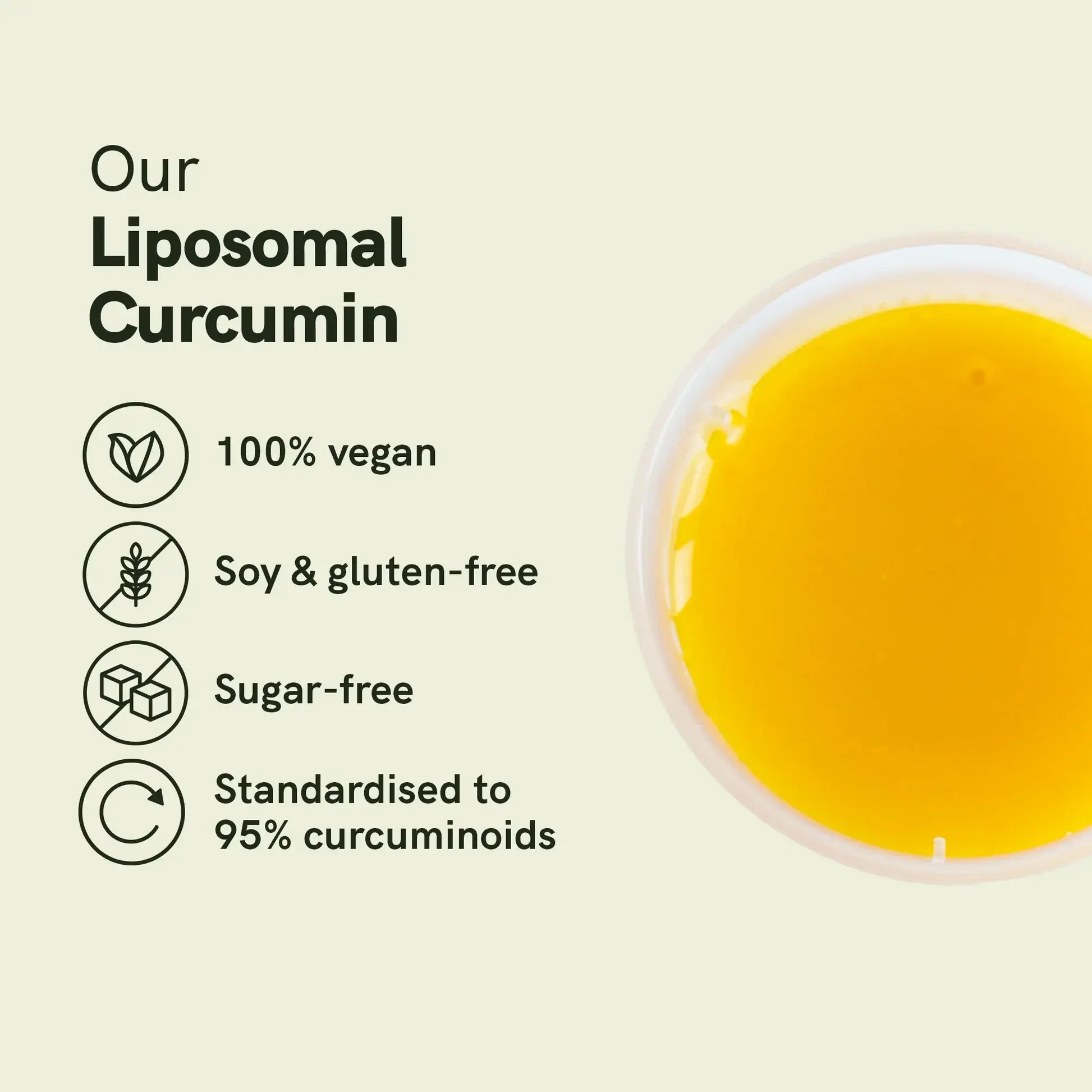 Liposomal curcumin powder Liposomal curcumin powder