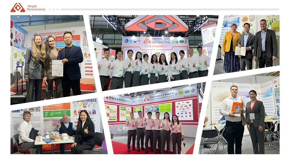 exhibitions exhibitions