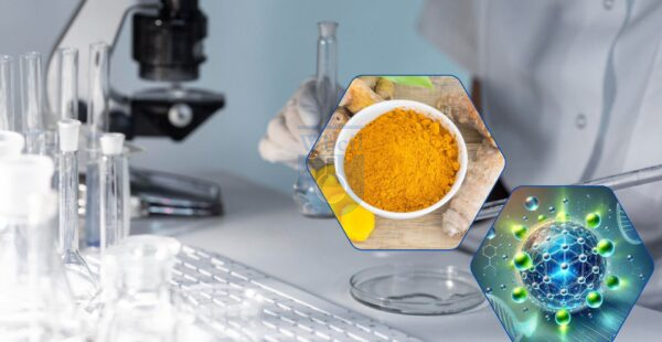Liposomal Coenzyme Q10 Powder Liposomal Coenzyme Q10 Powder