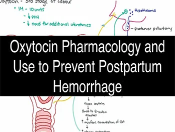 Oxytocin acetate benefits Oxytocin acetate benefits