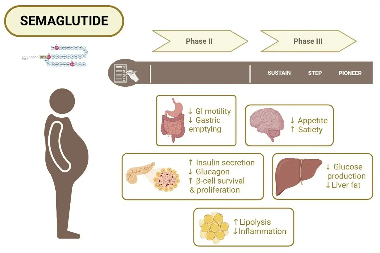 Semaglutide benefits Semaglutide benefits