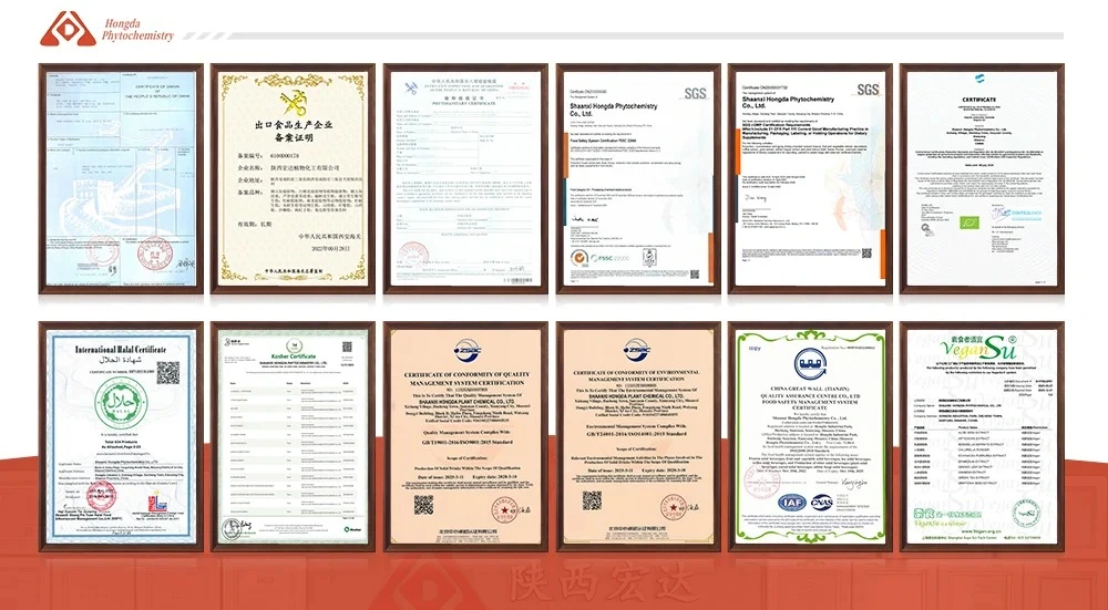 Our certifications Our certifications