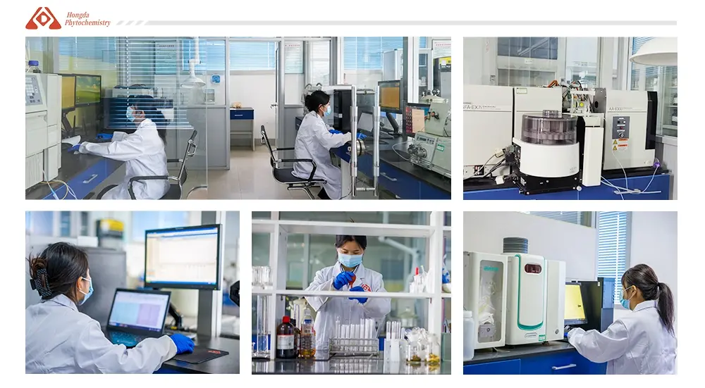 Our laboratory Our laboratory