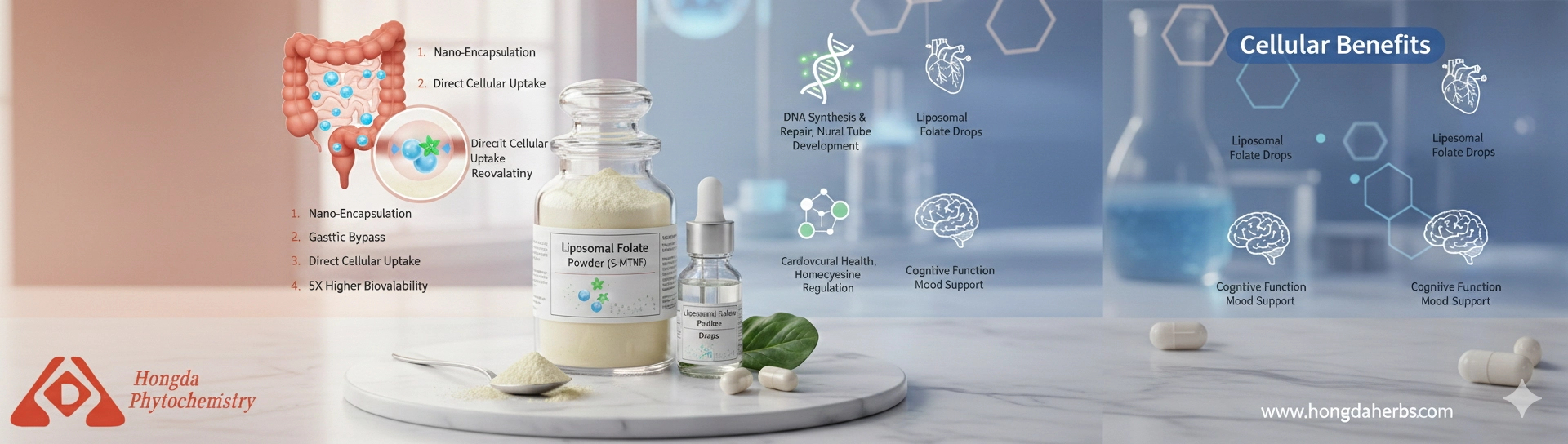 Liposomal folic acid powder benefits Liposomal folic acid powder benefits
