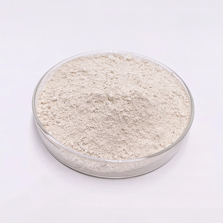 Garcinia Cambogia extract Garcinia Cambogia extract