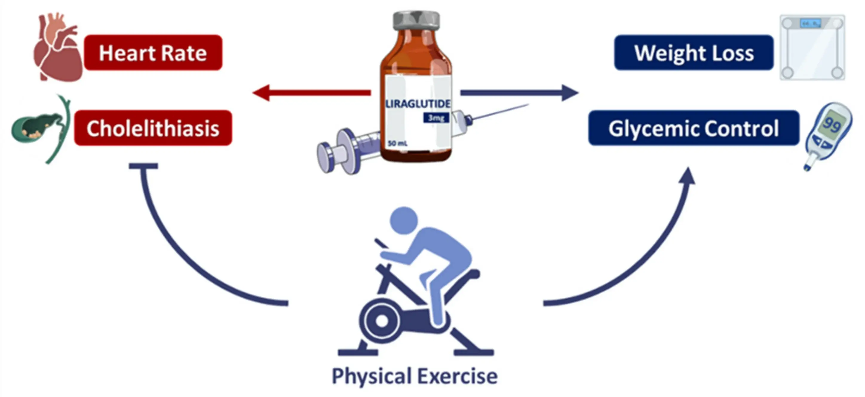 GLP-1 Liraglutide Powder GLP-1 Liraglutide Powder