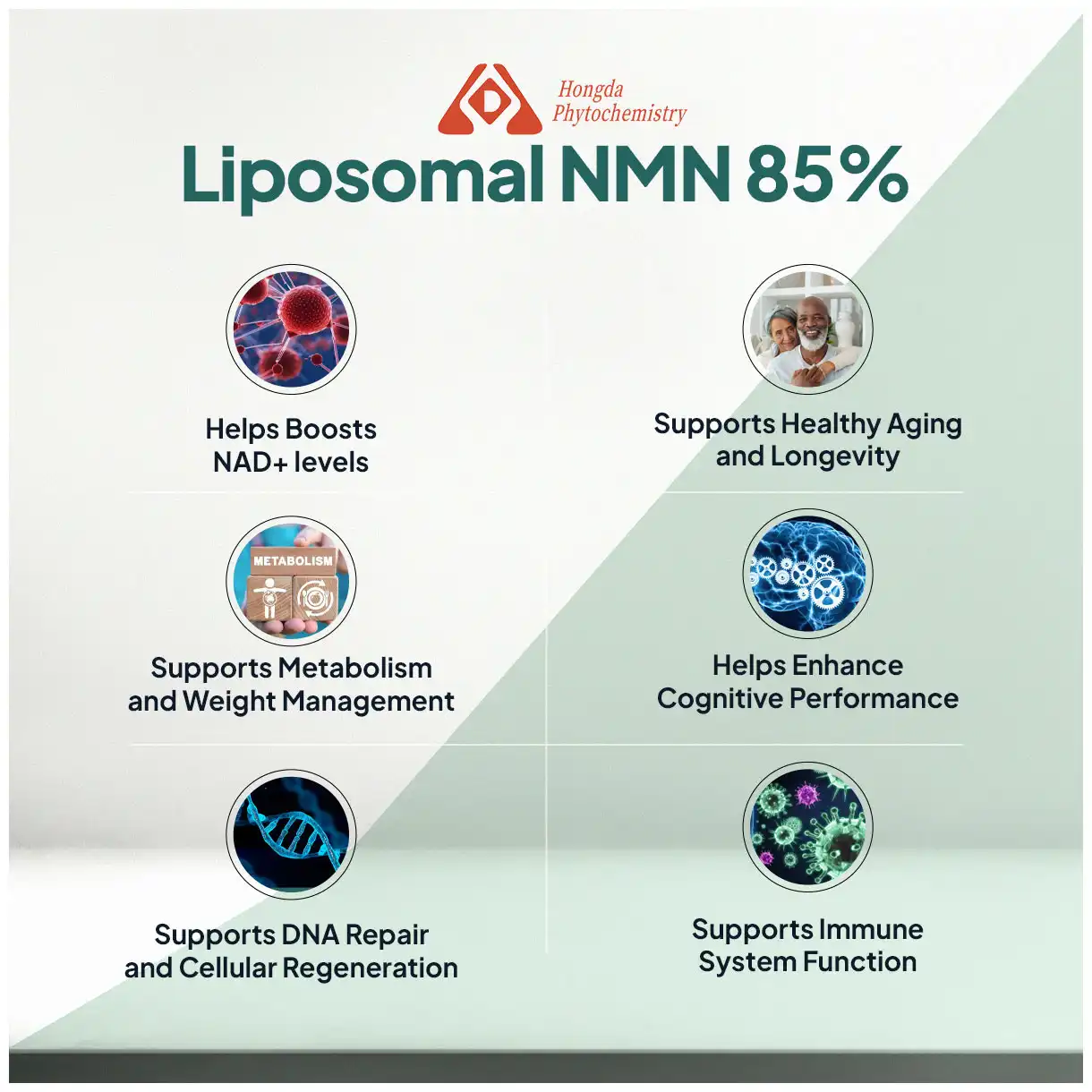 Liposomal NMN powder benefits Liposomal NMN powder benefits
