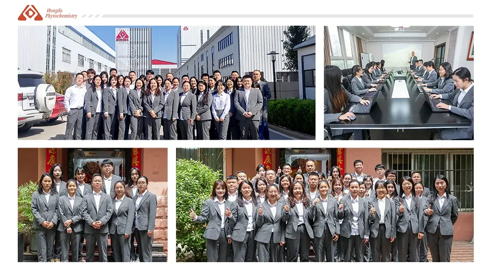 Our team -shaanxi hongda Our team -shaanxi hongda