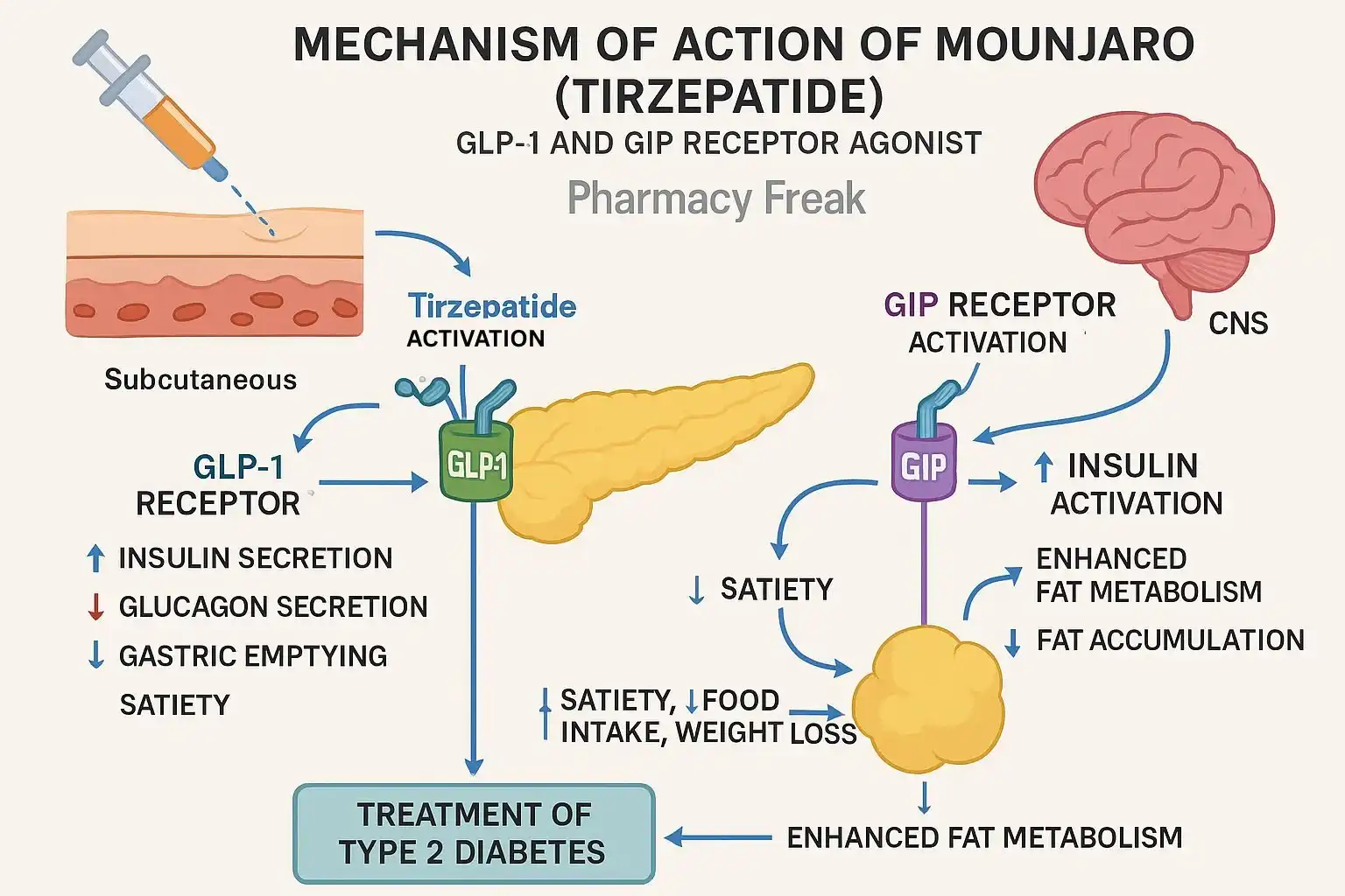 Tirzepatide Powder and Its Role in Modern Therapeutics Tirzepatide Powder and Its Role in Modern Therapeutics