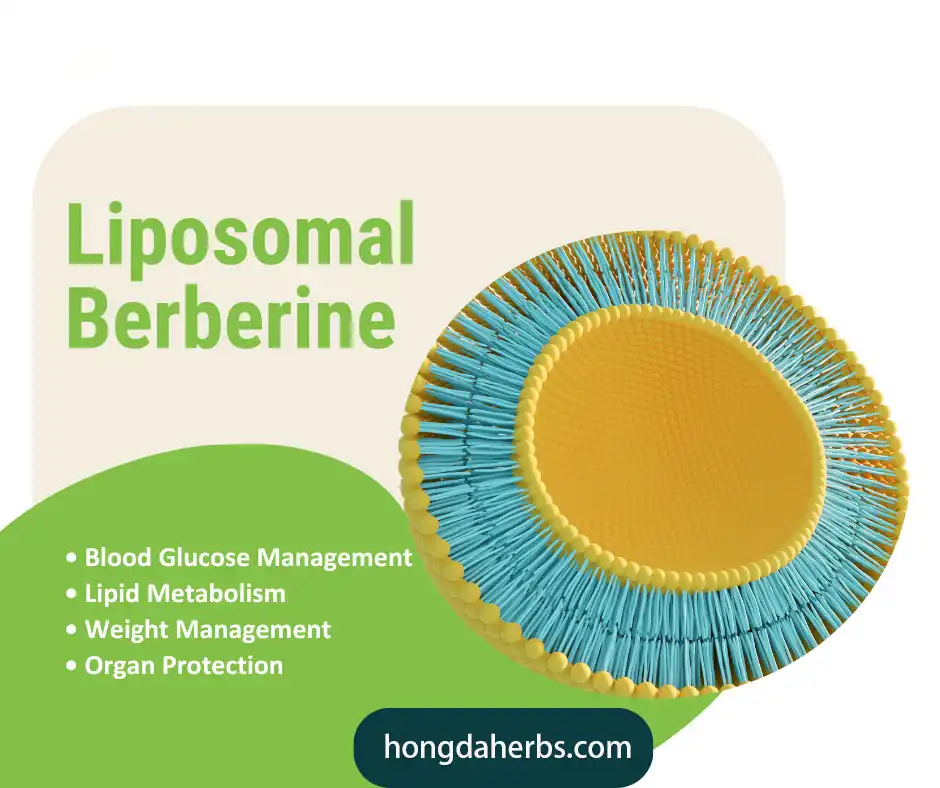 Liposomal Berberine Powder Applications Liposomal Berberine Powder Applications