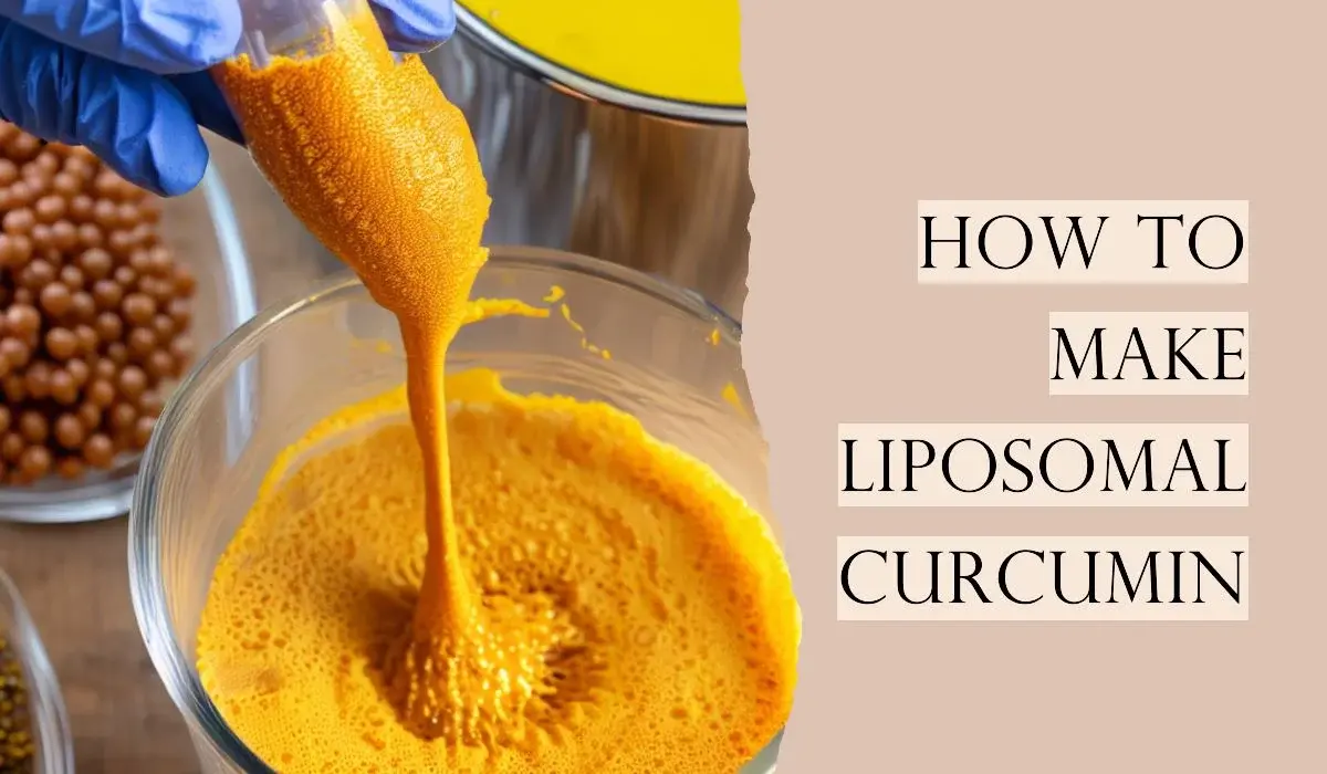 Application & Industry Use Cases for Liposomal Curcumin Powder Application & Industry Use Cases for Liposomal Curcumin Powder