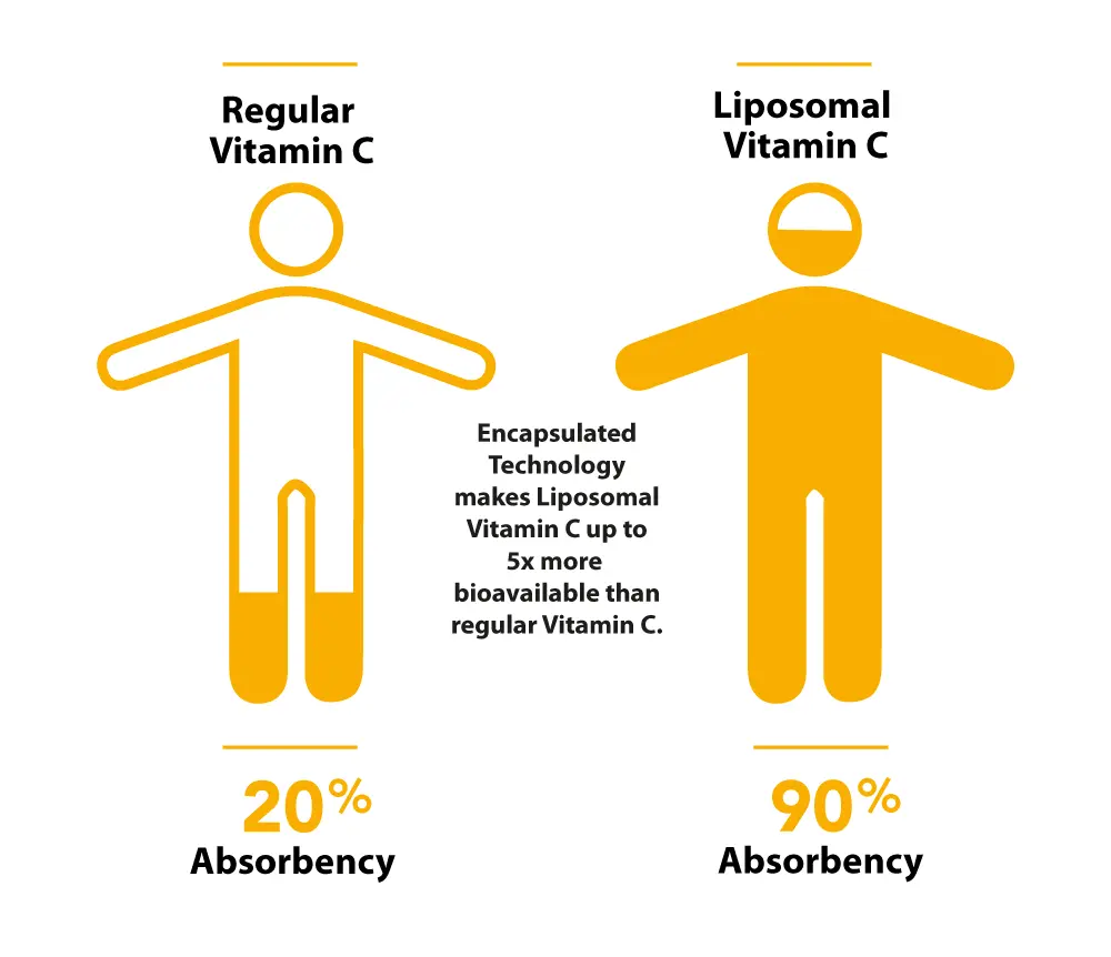 Liposomal Vitamin C Powder and Standard Vitamin C Powder Liposomal Vitamin C Powder and Standard Vitamin C Powder
