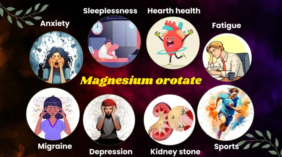 Magnesium orotate benefits Magnesium orotate benefits
