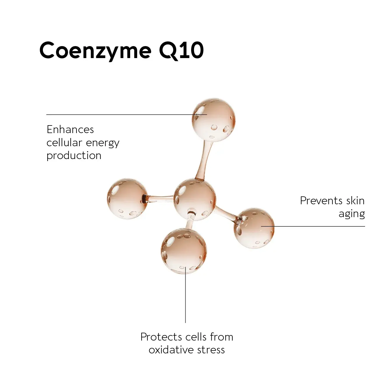 liposomal coenzyme Q10 powder for skin liposomal coenzyme Q10 powder for skin