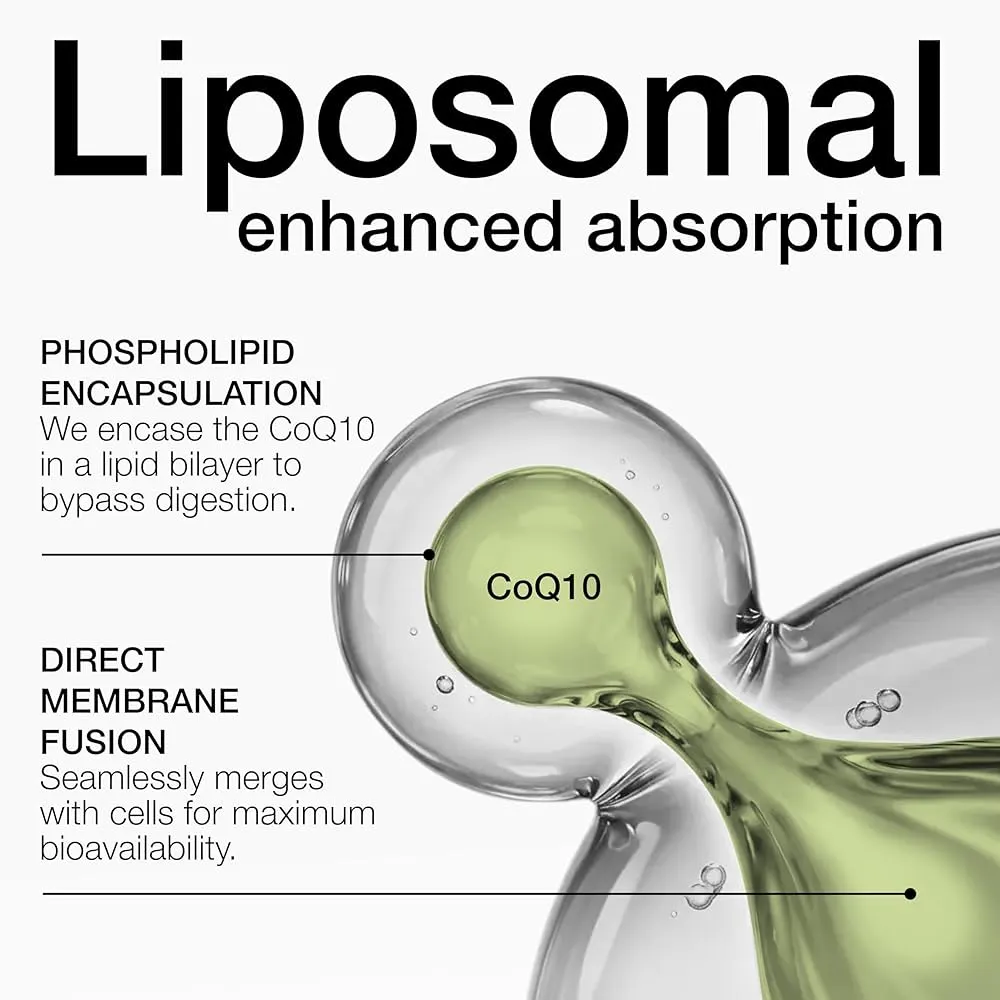 How Liposomal Coenzyme Q10 Powder Enhances Bioavailability How Liposomal Coenzyme Q10 Powder Enhances Bioavailability
