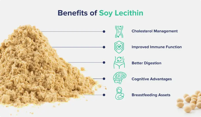soy lecithin benefits soy lecithin benefits