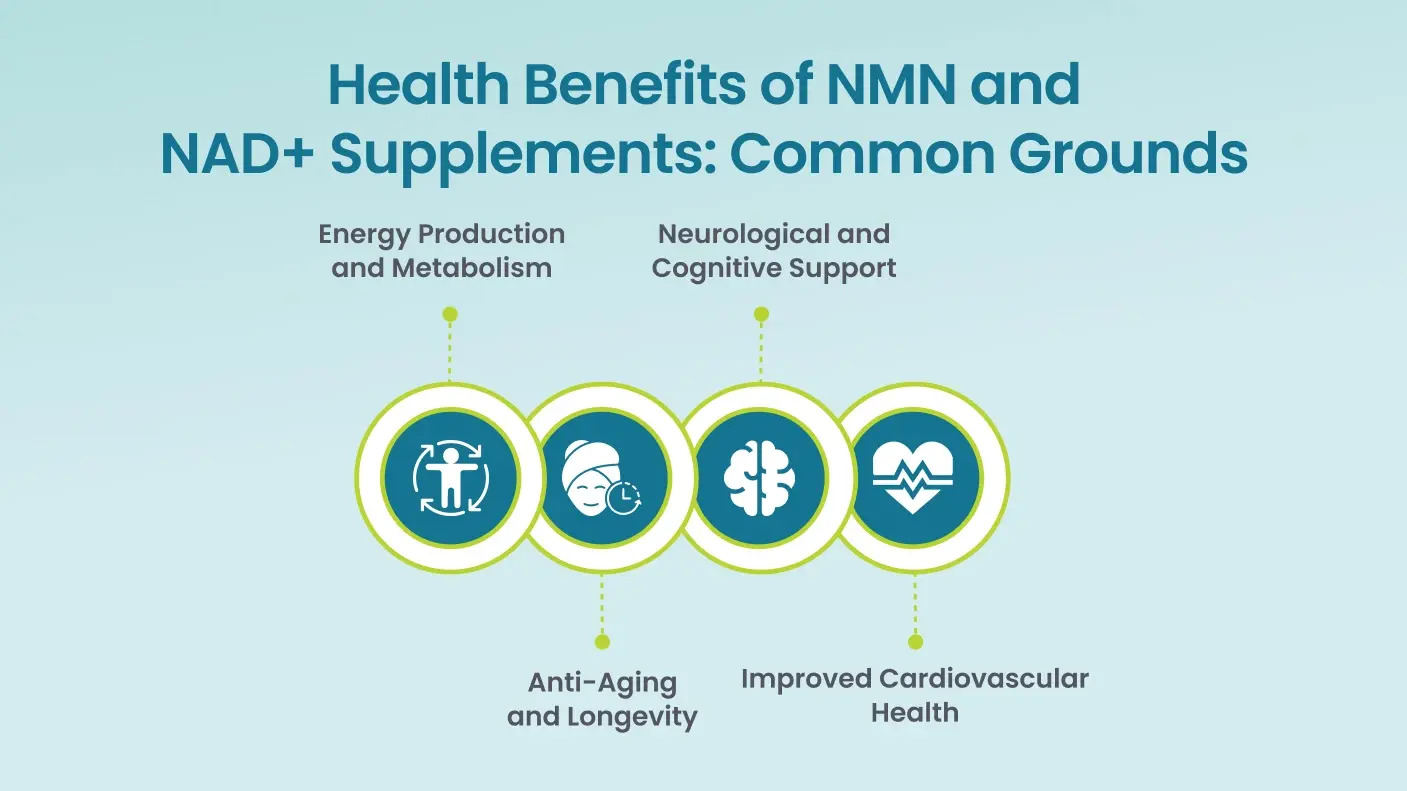 liposomal NMN powder benefits liposomal NMN powder benefits