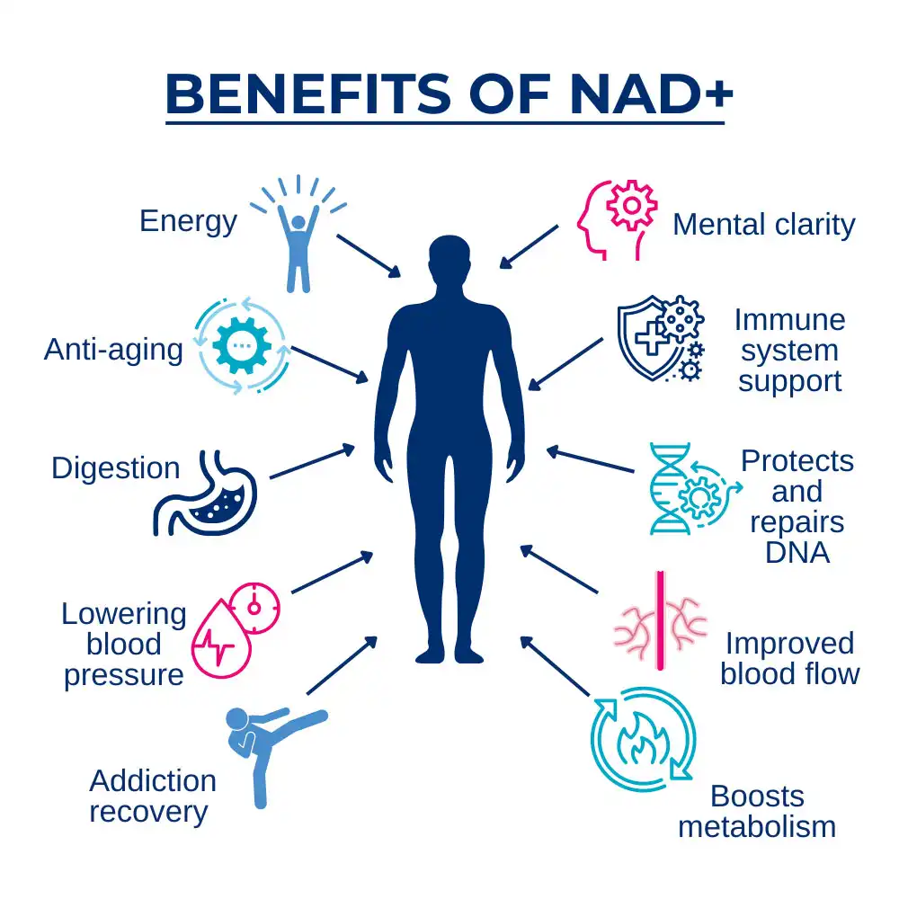 Liposomal NAD powder benefits Liposomal NAD powder benefits
