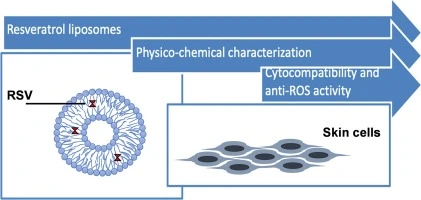 liposomal resveratrol powder for skin liposomal resveratrol powder for skin