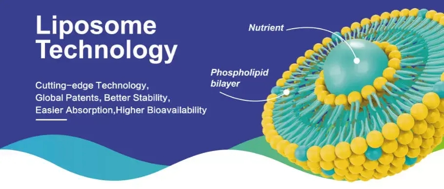 Science Behind Liposomal Delivery Systems---shaanxi hongda phytochemistry Science Behind Liposomal Delivery Systems---shaanxi hongda phytochemistry
