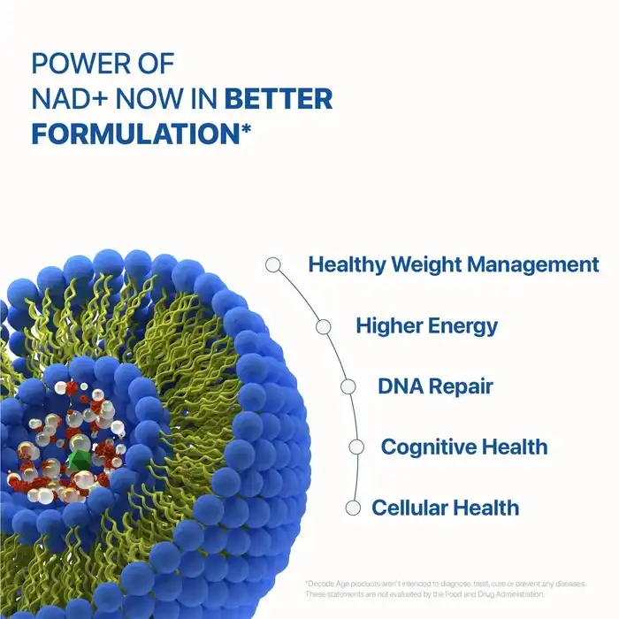 Benefits of Liposomal NMN Powder Benefits of Liposomal NMN Powder