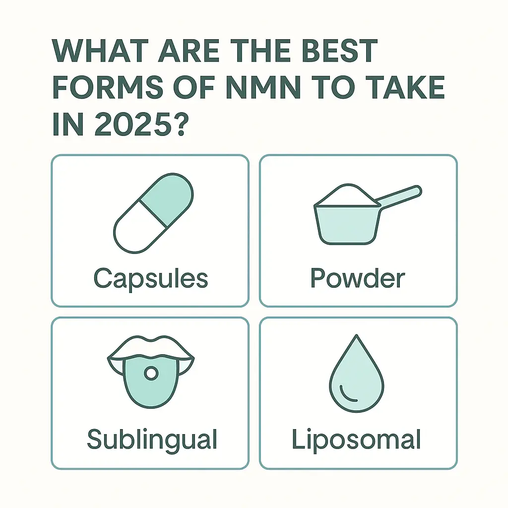 Liposomal NMN Powder with Other NMN Formats Liposomal NMN Powder with Other NMN Formats