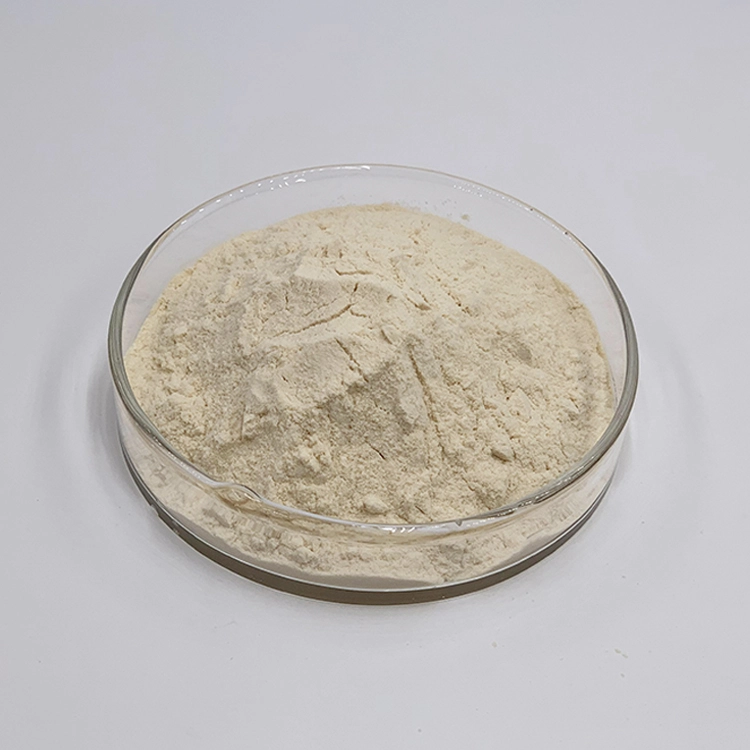 monk fruit extract powder