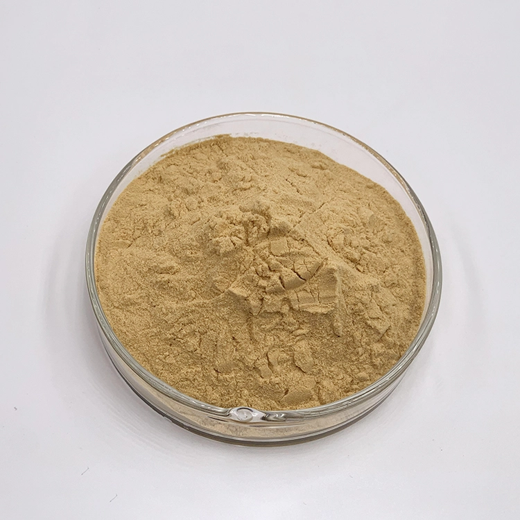 monk fruit powder