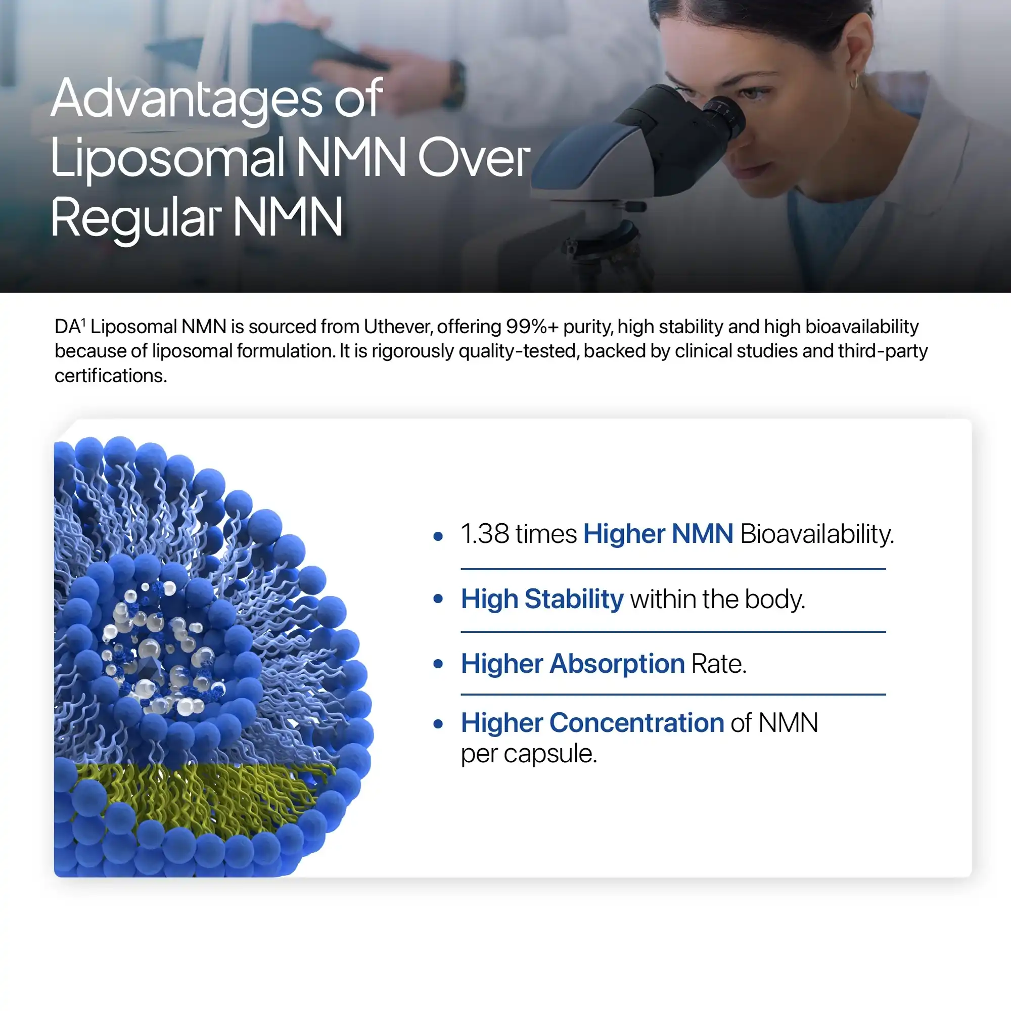 Liposomal NMN Powder: Absorption Liposomal NMN Powder: Absorption