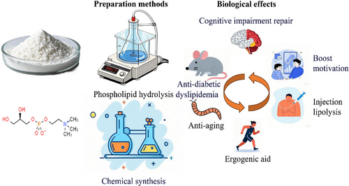 Applications of Glycerophosphoryl Choline Applications of Glycerophosphoryl Choline