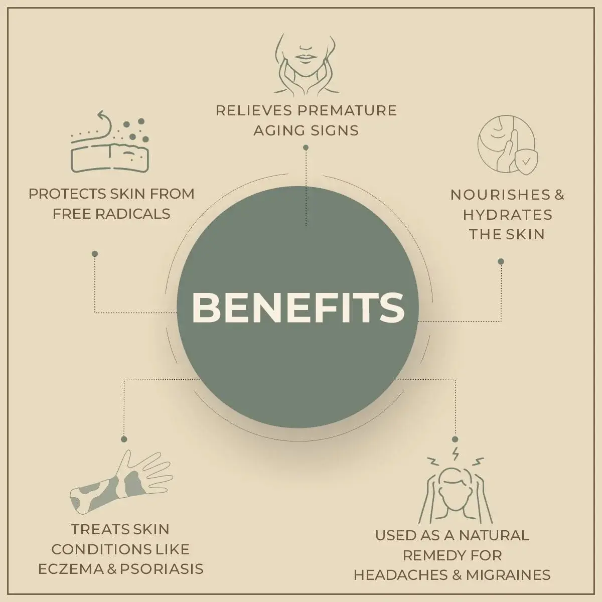 Horse Chestnut Extract Benefits Horse Chestnut Extract Benefits