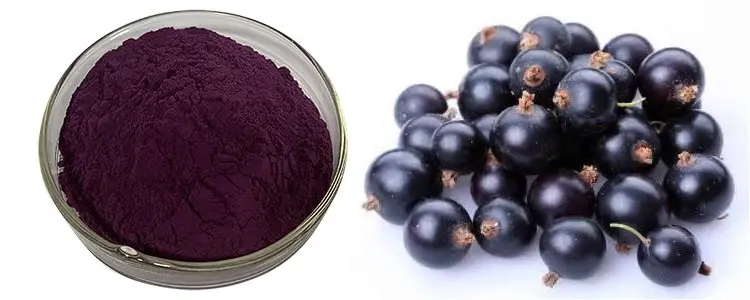 Acai Fruit Extract
