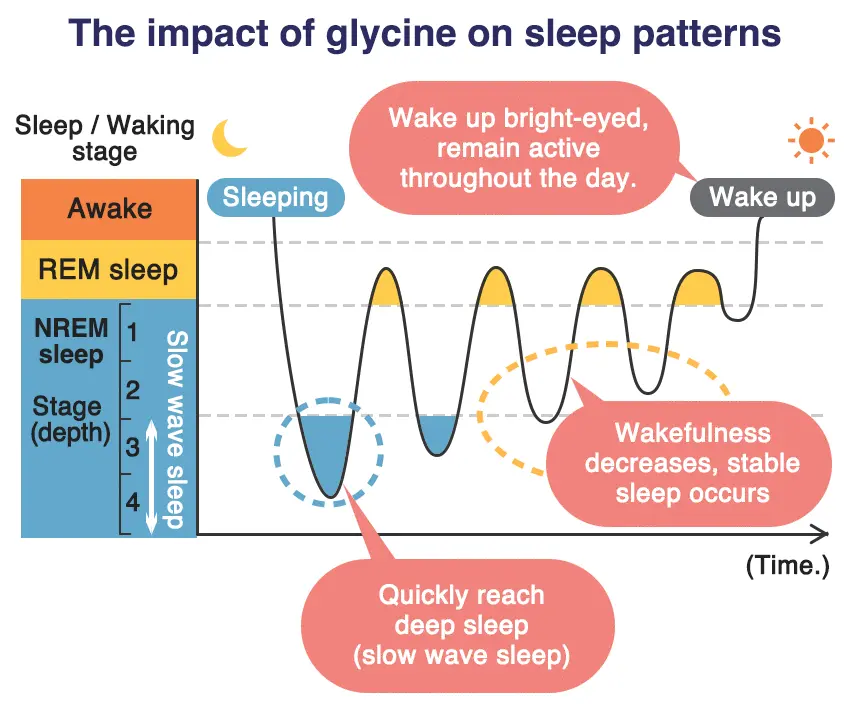Why Glycine Enhances Sleep Quality Why Glycine Enhances Sleep Quality