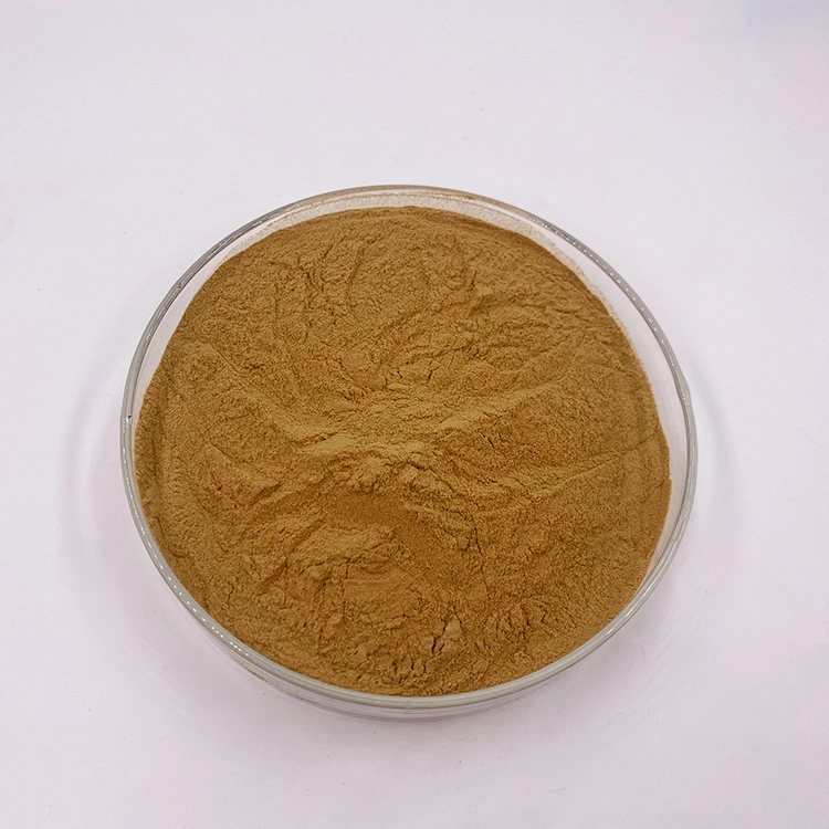 Cordyceps Powder Cordyceps Powder