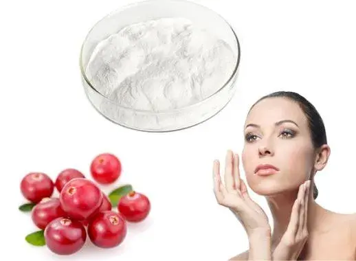 High-Quality Pure Alpha Arbutin Powder High-Quality Pure Alpha Arbutin Powder