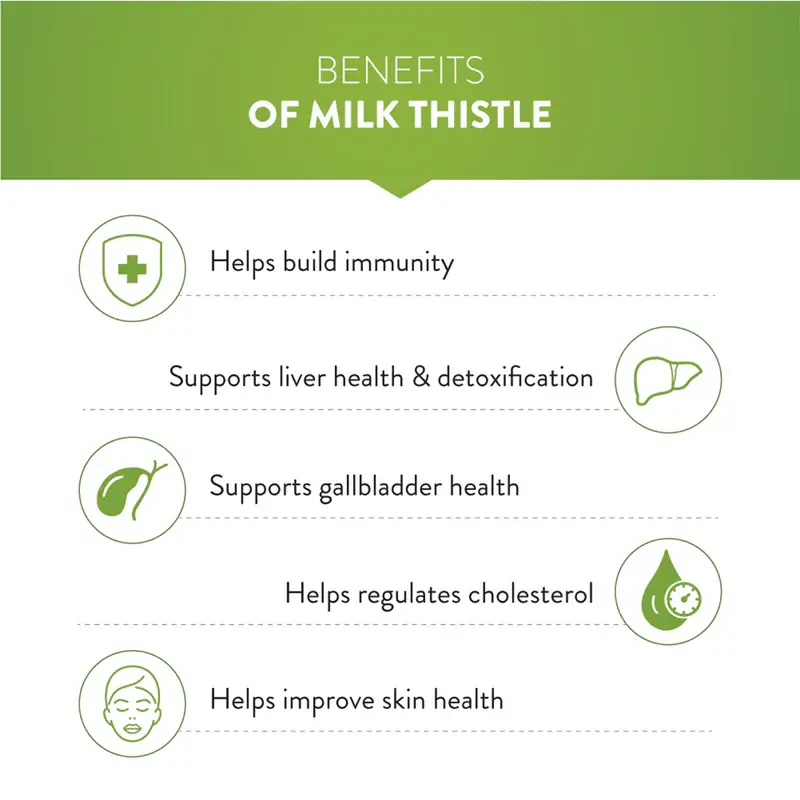 milk thistle powder benefits milk thistle powder benefits