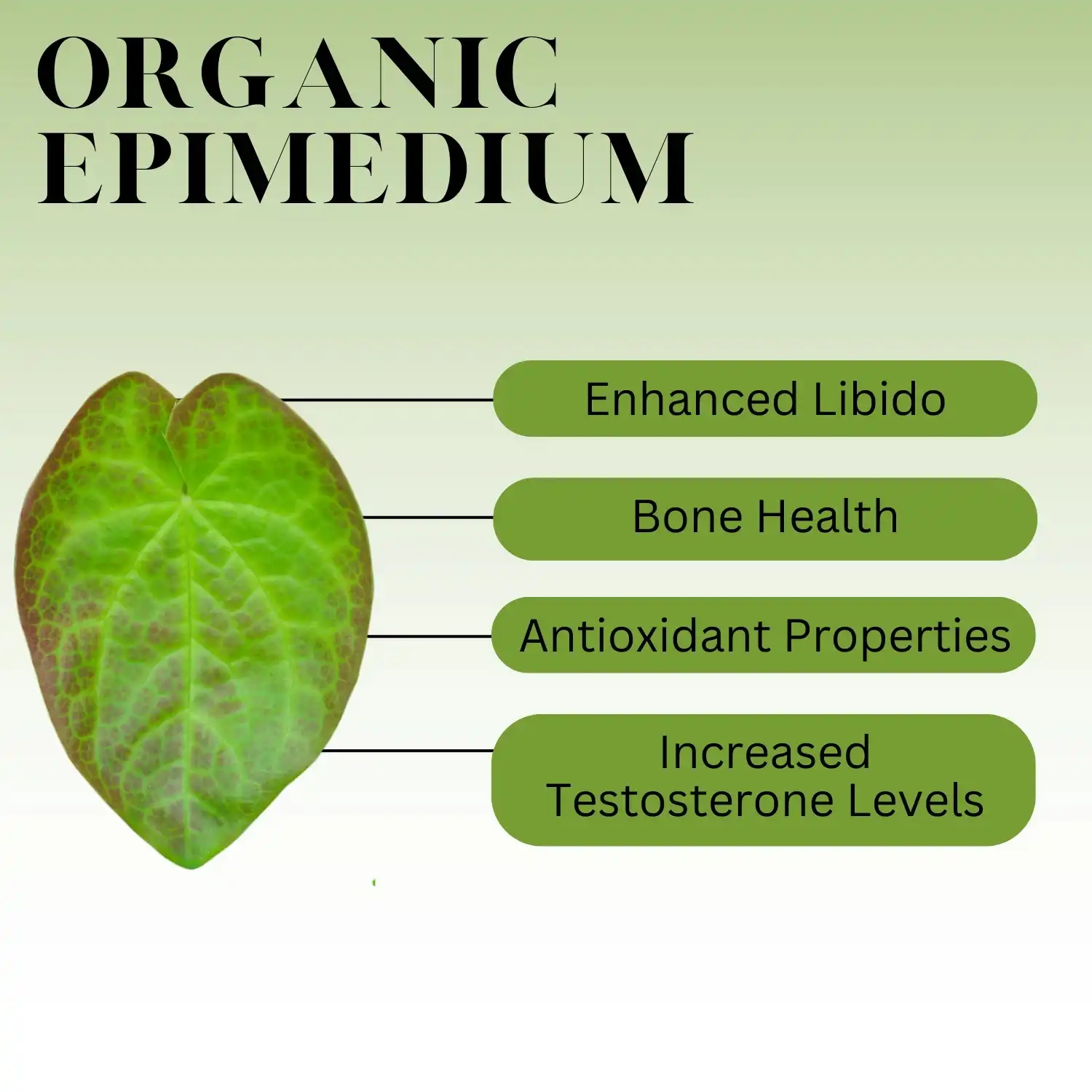 epimedium extract powder benefits epimedium extract powder benefits