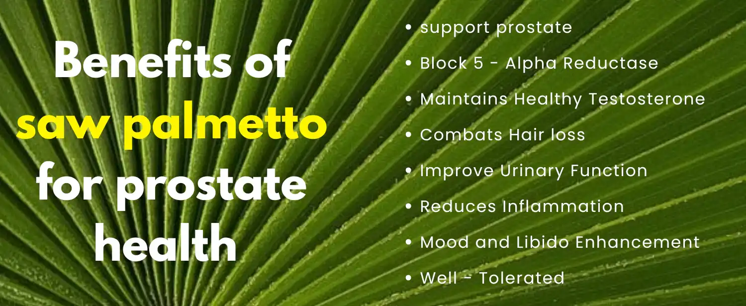 Saw Palmetto Extract For Men's Prostate and Urinary Health Saw Palmetto Extract For Men's Prostate and Urinary Health
