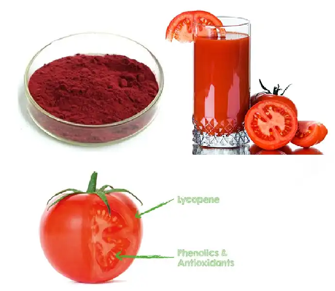 Tomato extract powder Tomato extract powder