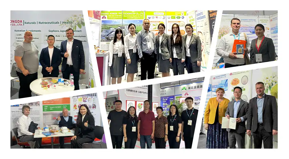 Exhibitions Exhibitions